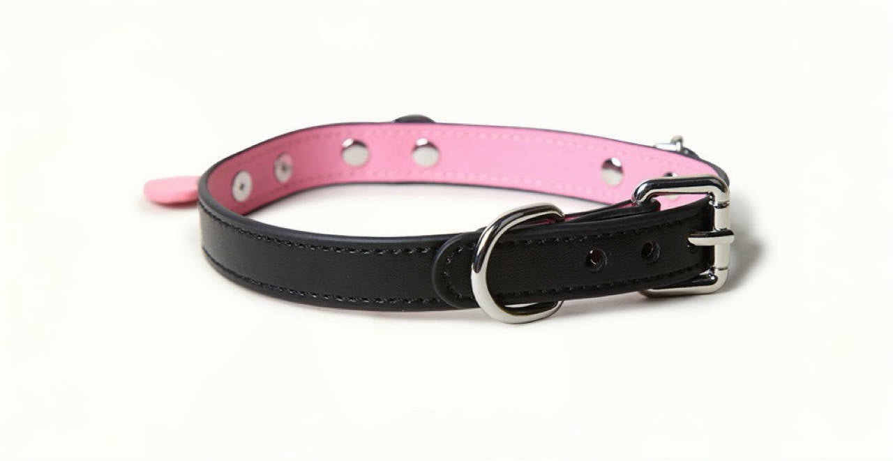 a sex collar and leash