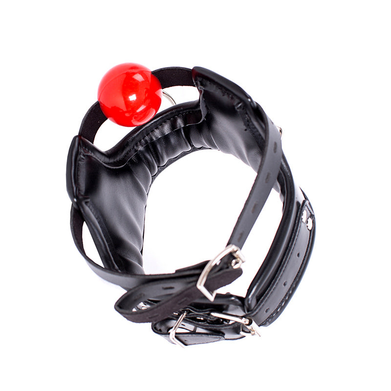 a ball gag and collar