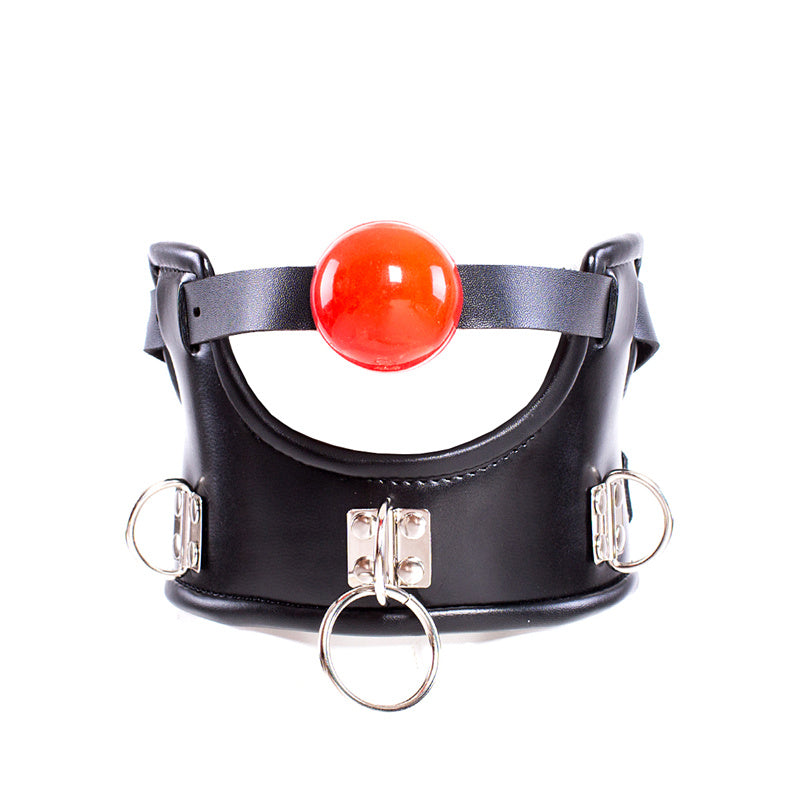 a ball gag and collar