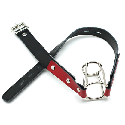 a double ring gag