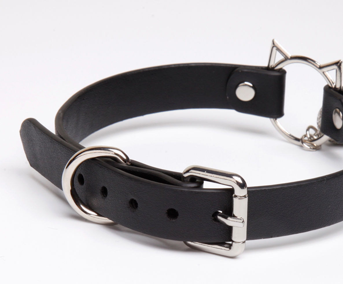 a black Pet Play Collar and Leash BDSM