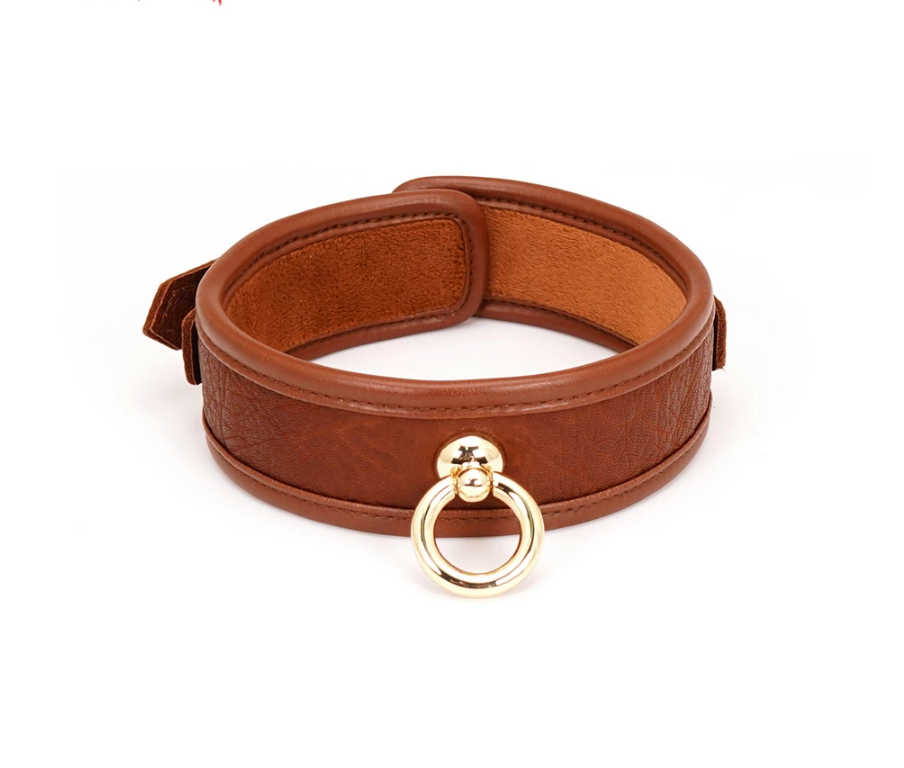 a Brown Leather Collar and Leash for Adults