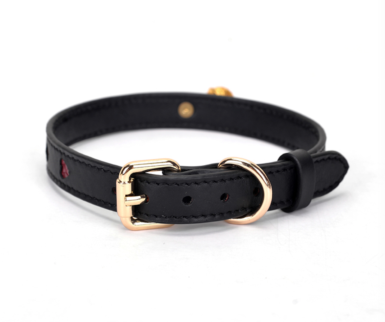 a black Bondage Day Collar