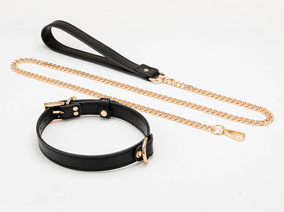 a bondage collar and leash